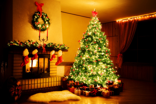 Image Credit: Getty Images/Andrejs Zemdega