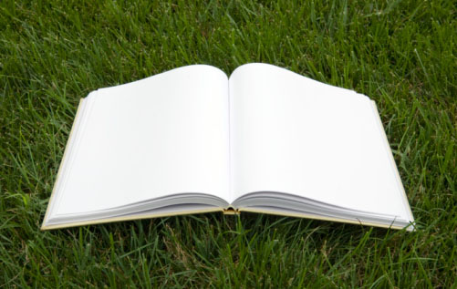 Image Source: NineOK/Photographer's Choice