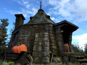 wizarding world harry potter hollywood universal studios