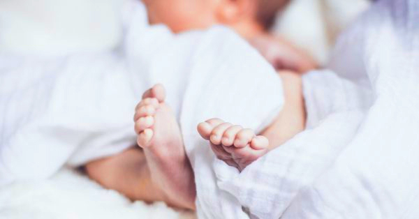 img_7317-e1484193307148